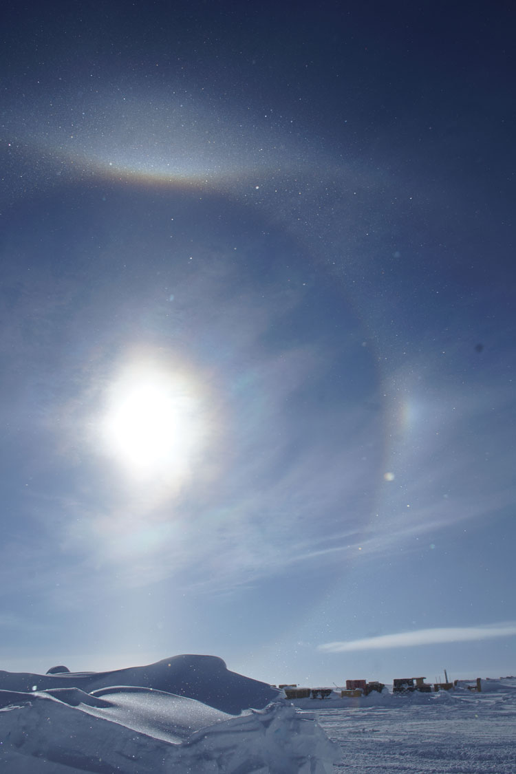 tallsundogs