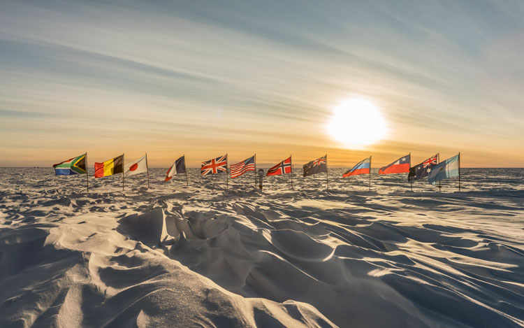 flags in sun