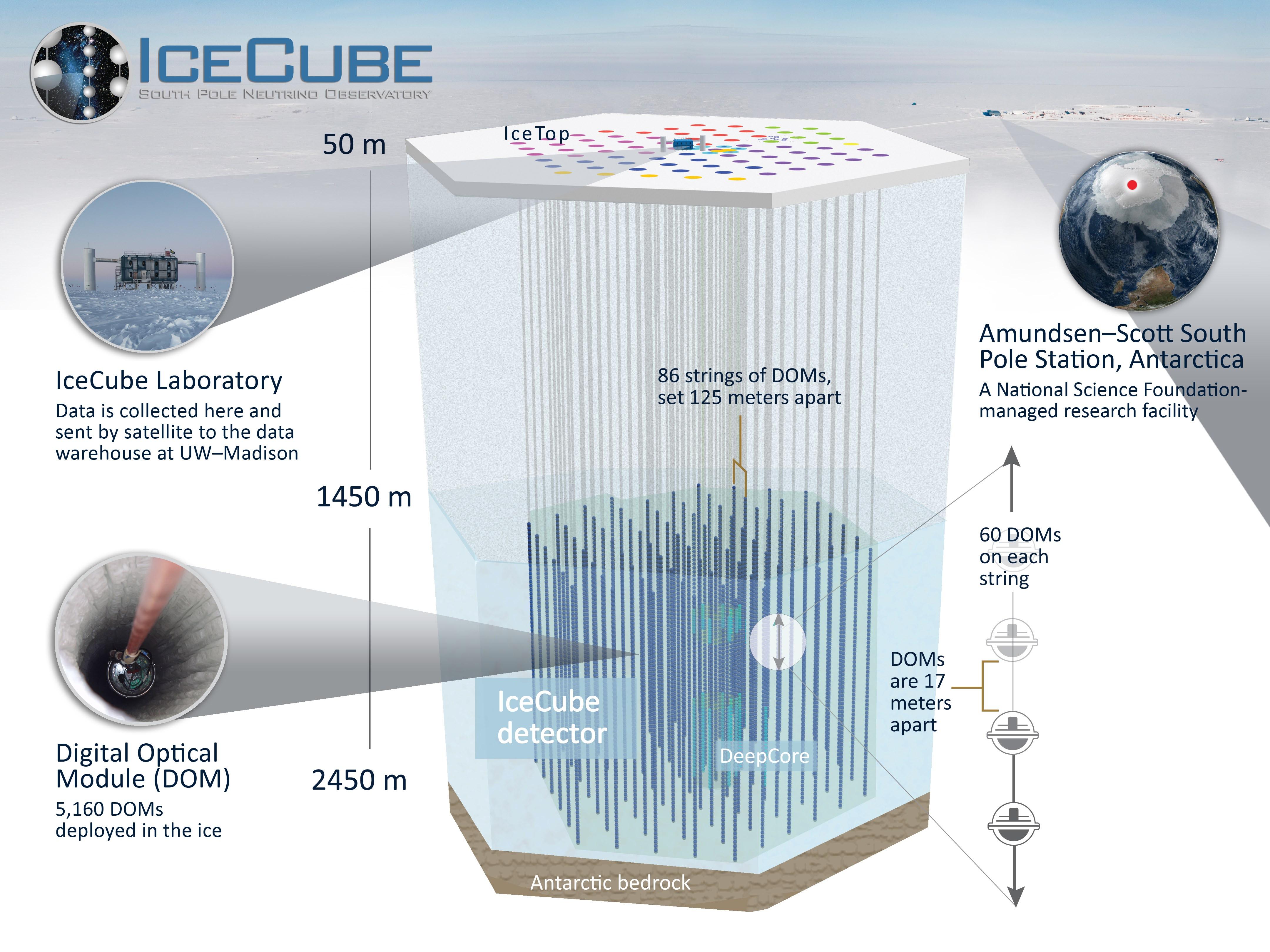 IceCube detector schematic