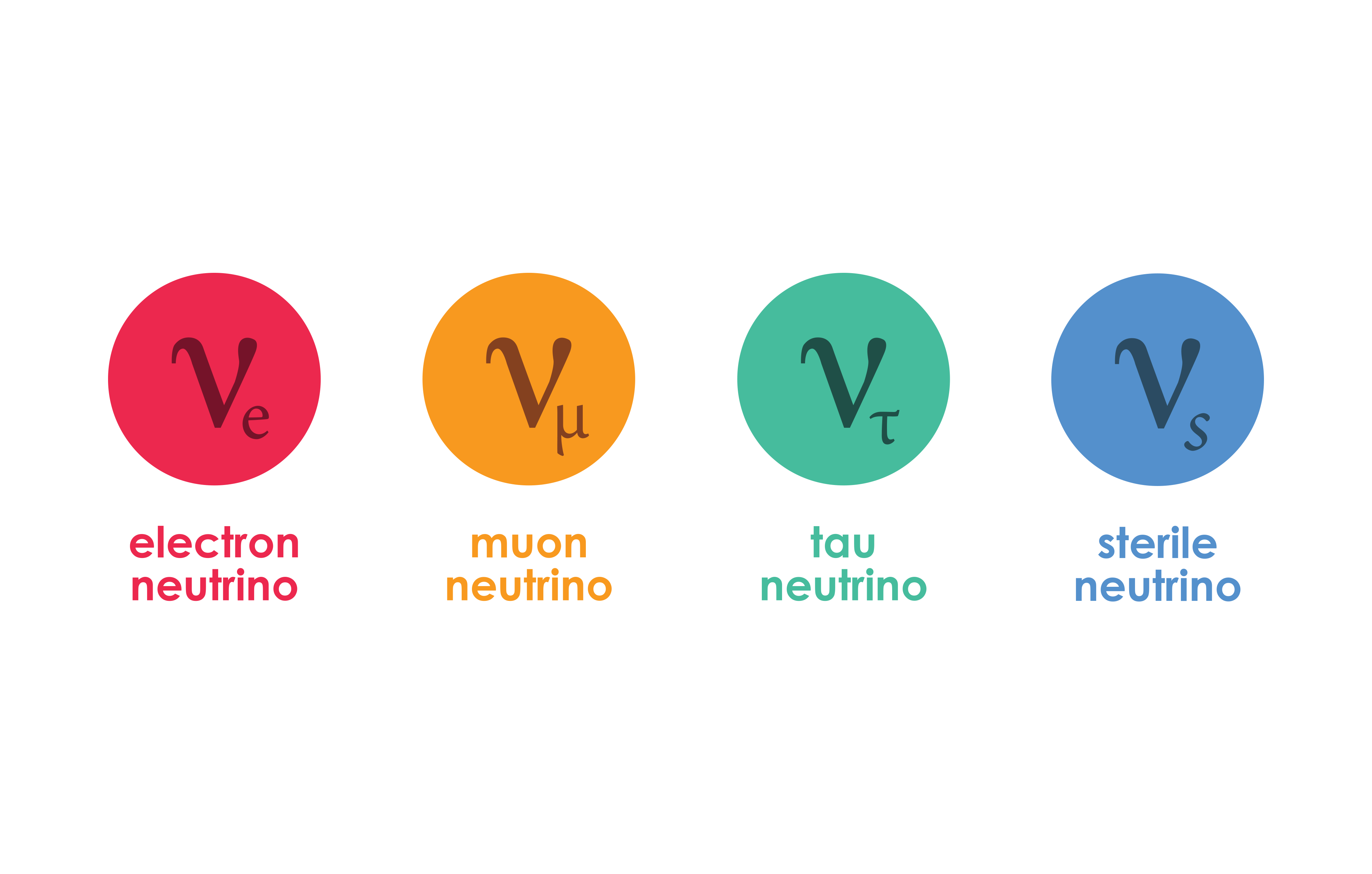 Four types of neutrinos?